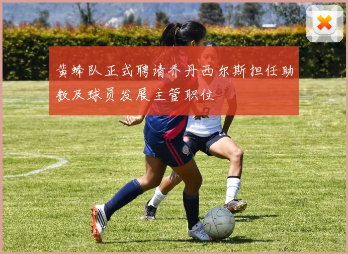 黄蜂队正式聘请乔丹西尔斯担任助教及球员发展主管职位