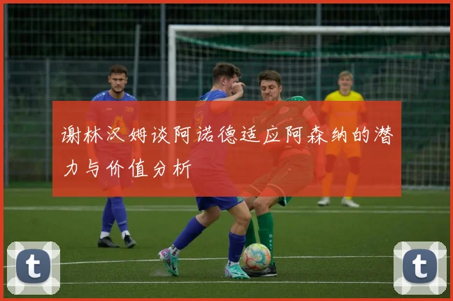 谢林汉姆谈阿诺德适应阿森纳的潜力与价值分析